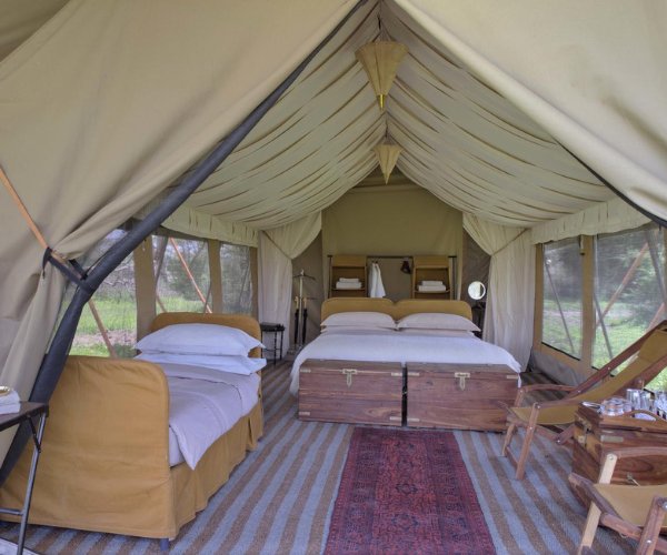 5 Days Ndutu And Central Serengeti Safari