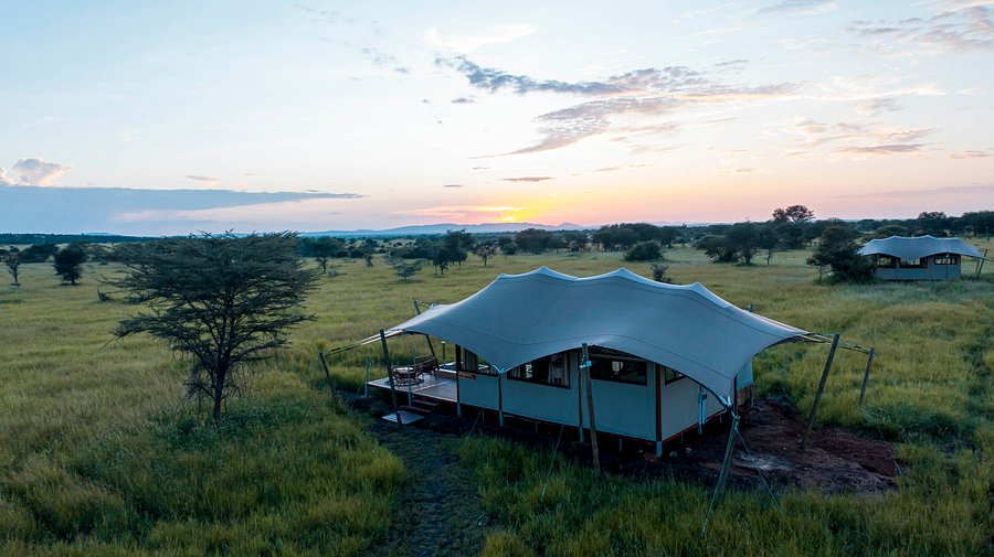 6-Day Luxury Lodge Safari