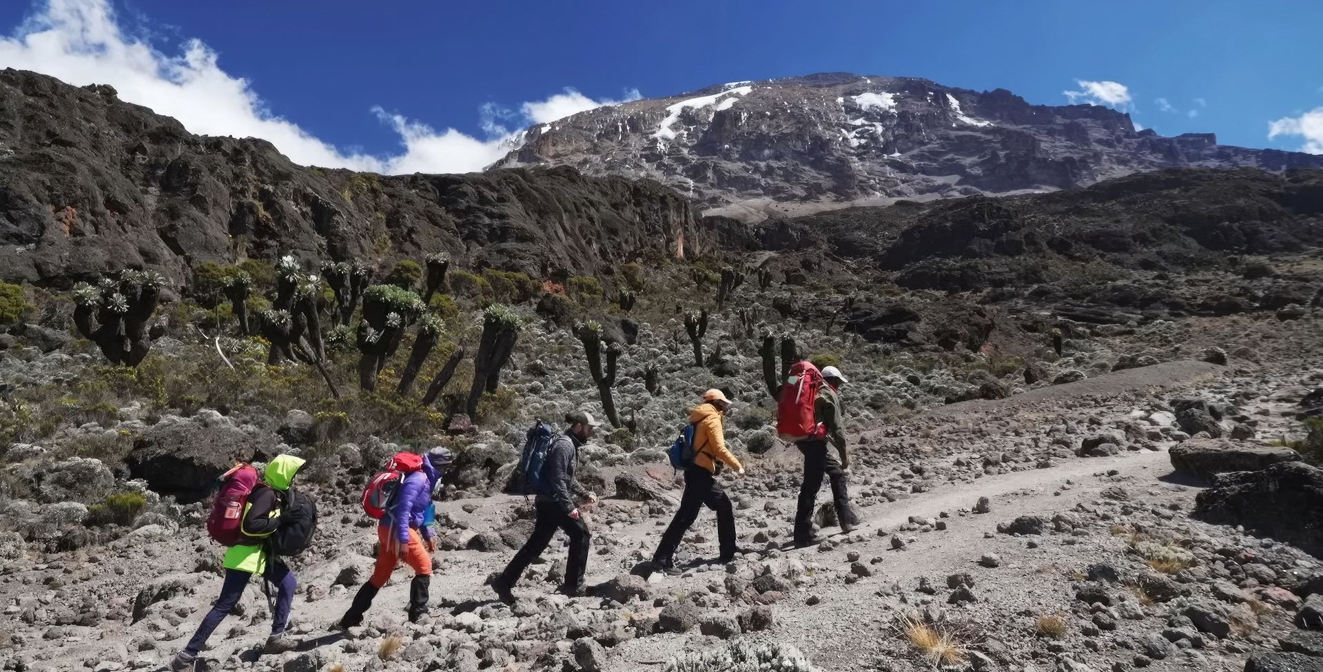  6 Day Kilimanjaro hike : Umbwe Route