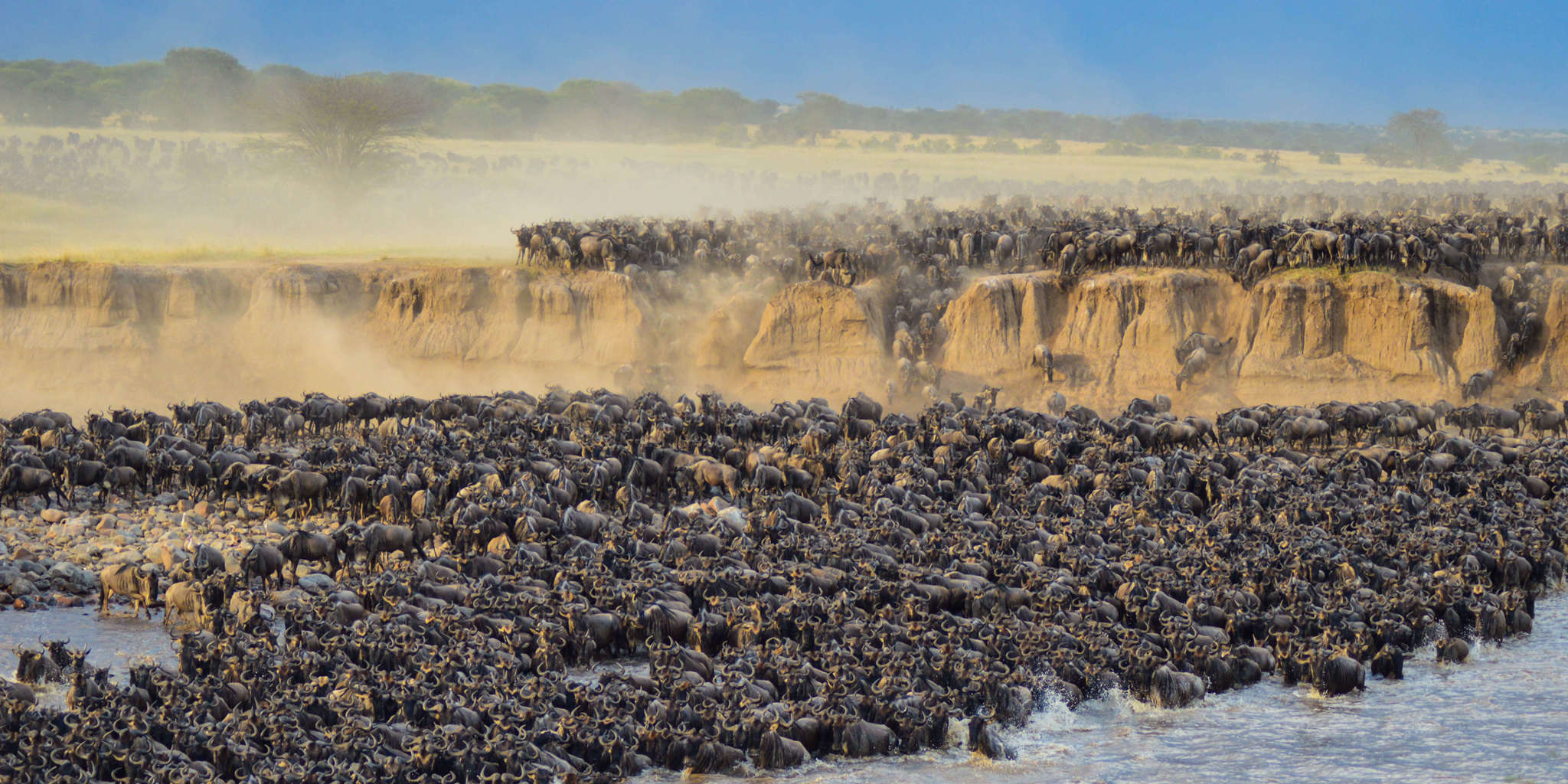 6-Day Wildebeest Migration Safari with Tarangire