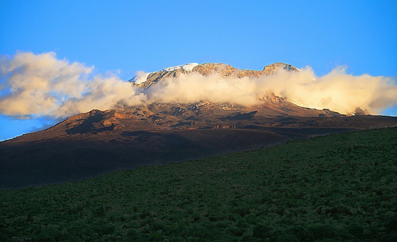 7 Day Kilimanjaro hike : Shira` Route
