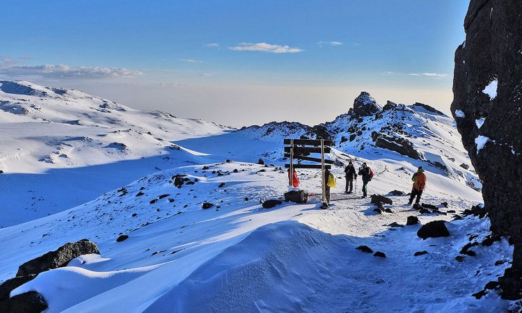 7 Day Kilimanjaro hike : Umbwe` Route