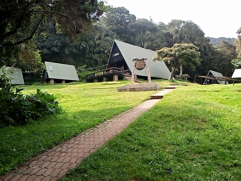 Marangu Gate to Mandara Hut