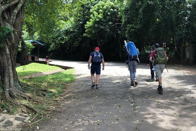Marangu Hiking Day Trip