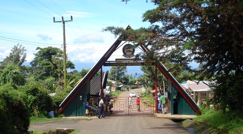 Horombo Hut to Marangu Gate