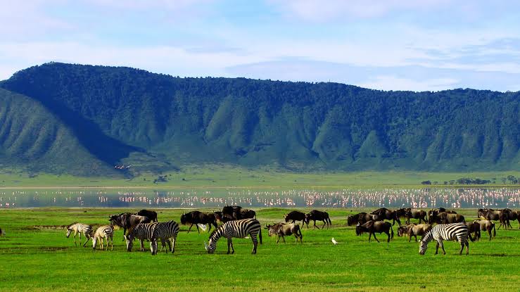 Sustainable Tourism