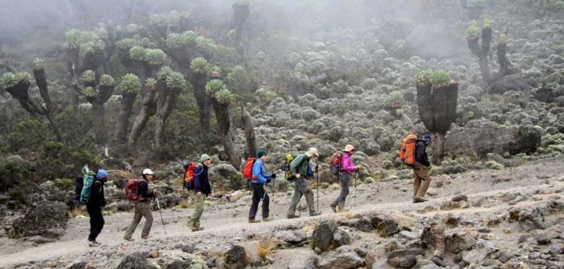 5 Day Kilimanjaro hike : Rongai` Route