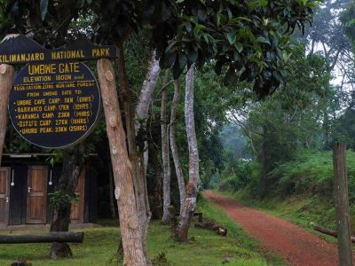 Umbwe Gate to Umbwe Camp