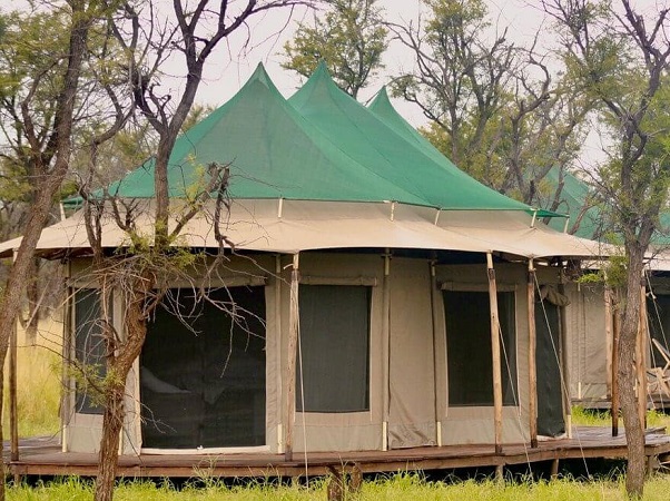 Lodge safari